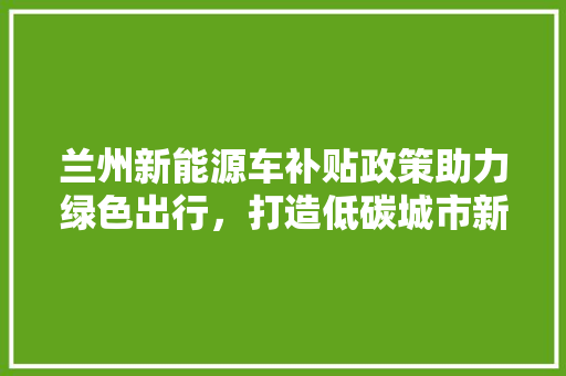 兰州新能源车补贴政策助力绿色出行，打造低碳城市新名片