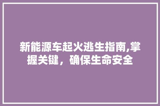 新能源车起火逃生指南,掌握关键，确保生命安全
