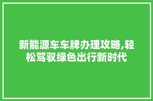 新能源车车牌办理攻略,轻松驾驭绿色出行新时代