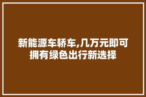 新能源车轿车,几万元即可拥有绿色出行新选择