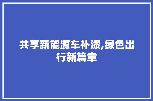 共享新能源车补漆,绿色出行新篇章 混合动力车