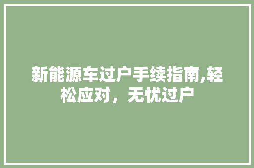 新能源车过户手续指南,轻松应对，无忧过户