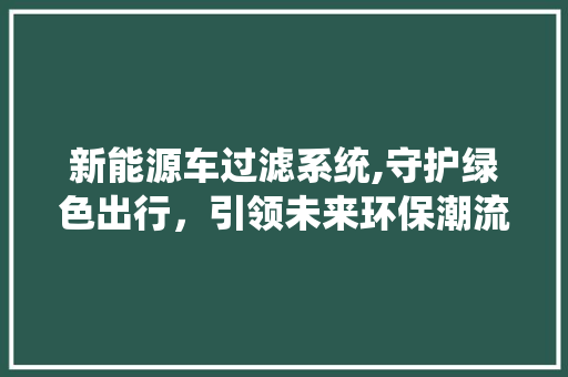 新能源车过滤系统,守护绿色出行，引领未来环保潮流