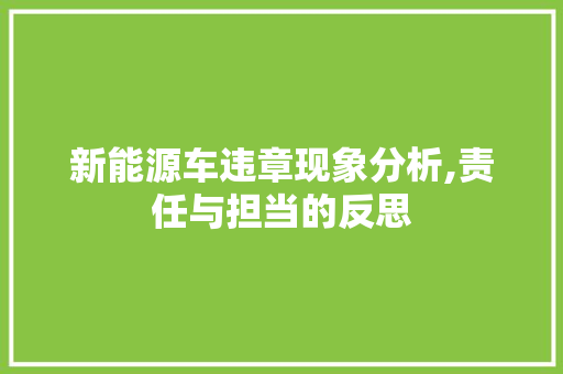新能源车违章现象分析,责任与担当的反思