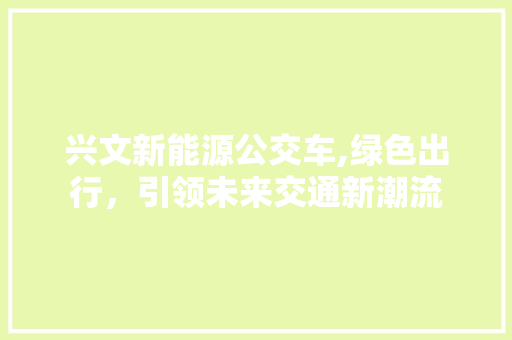 兴文新能源公交车,绿色出行，引领未来交通新潮流 汽车配件