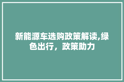 新能源车选购政策解读,绿色出行，政策助力