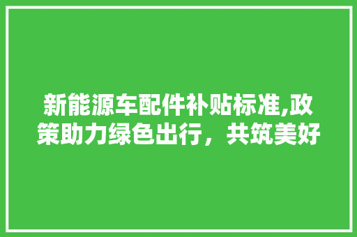 新能源车配件补贴标准,政策助力绿色出行，共筑美好未来