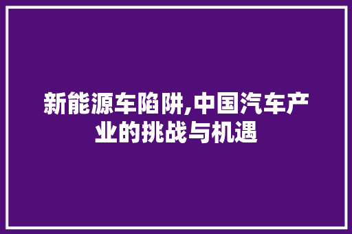 新能源车陷阱,中国汽车产业的挑战与机遇