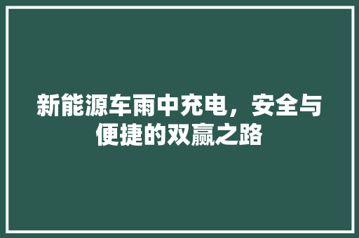 新能源车雨中充电，安全与便捷的双赢之路