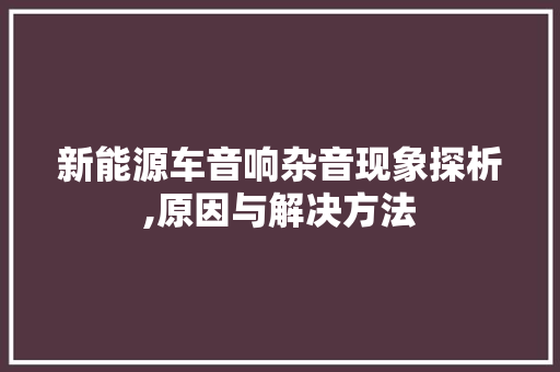 新能源车音响杂音现象探析,原因与解决方法