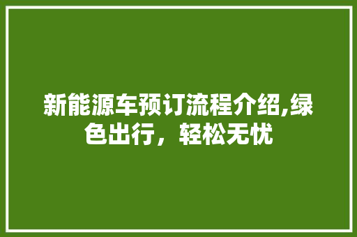 新能源车预订流程介绍,绿色出行，轻松无忧