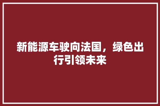 新能源车驶向法国，绿色出行引领未来