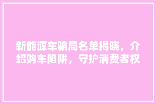 新能源车骗局名单揭晓，介绍购车陷阱，守护消费者权益