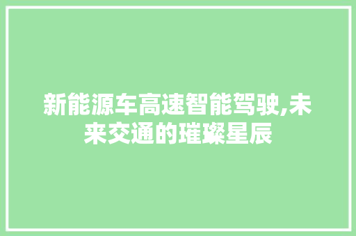 新能源车高速智能驾驶,未来交通的璀璨星辰