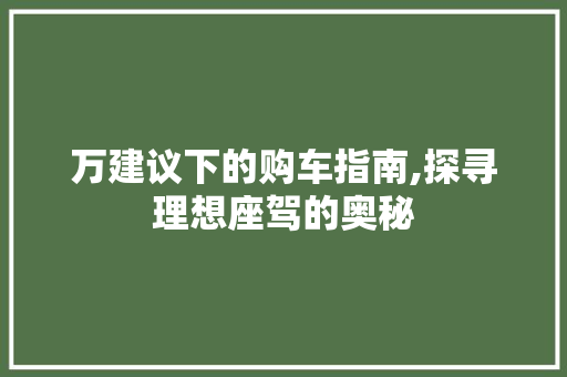 万建议下的购车指南,探寻理想座驾的奥秘