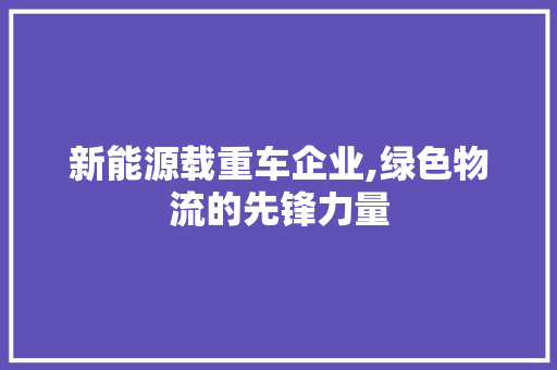 新能源载重车企业,绿色物流的先锋力量