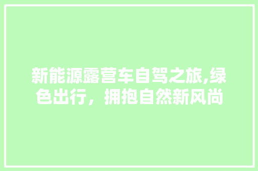 新能源露营车自驾之旅,绿色出行，拥抱自然新风尚