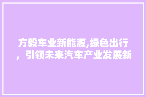 方毅车业新能源,绿色出行，引领未来汽车产业发展新潮流
