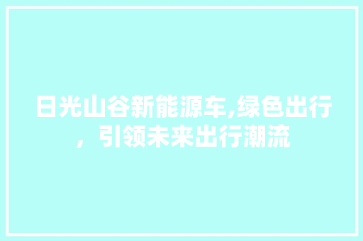 日光山谷新能源车,绿色出行，引领未来出行潮流