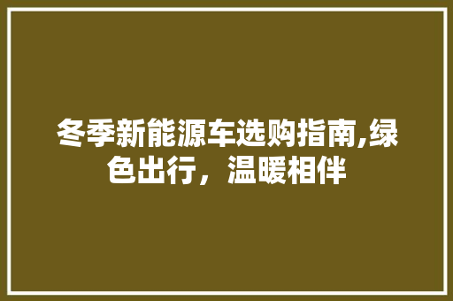 冬季新能源车选购指南,绿色出行，温暖相伴 智能驾驶