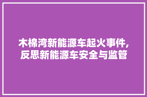 木棉湾新能源车起火事件,反思新能源车安全与监管