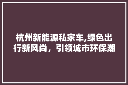 杭州新能源私家车,绿色出行新风尚，引领城市环保潮流