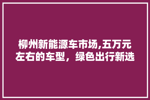 柳州新能源车市场,五万元左右的车型，绿色出行新选择 新能源汽车