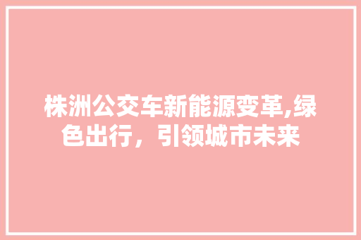 株洲公交车新能源变革,绿色出行，引领城市未来 自动驾驶