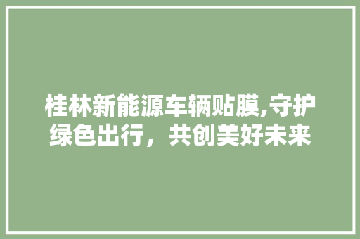 桂林新能源车辆贴膜,守护绿色出行，共创美好未来