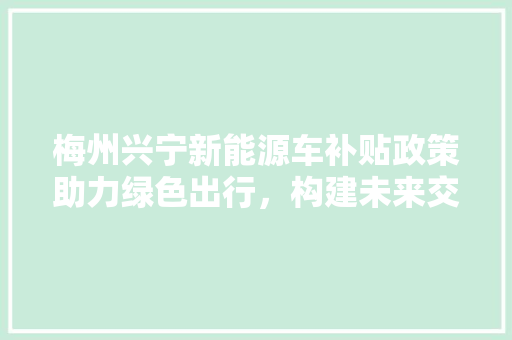 梅州兴宁新能源车补贴政策助力绿色出行，构建未来交通新格局 汽车保养