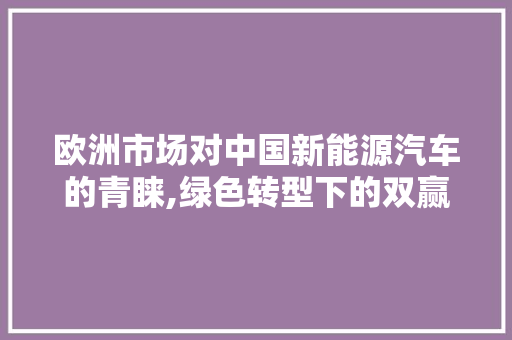 欧洲市场对中国新能源汽车的青睐,绿色转型下的双赢局面