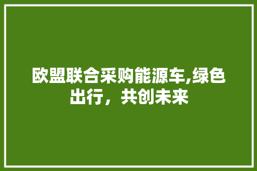 欧盟联合采购能源车,绿色出行，共创未来