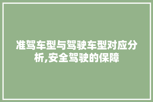 准驾车型与驾驶车型对应分析,安全驾驶的保障