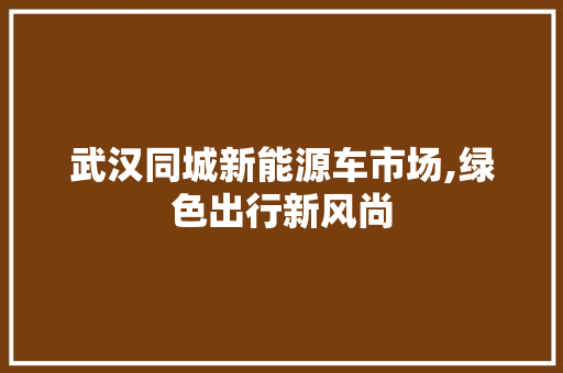 武汉同城新能源车市场,绿色出行新风尚