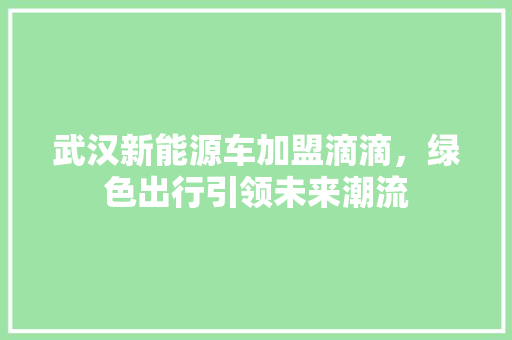 武汉新能源车加盟滴滴，绿色出行引领未来潮流