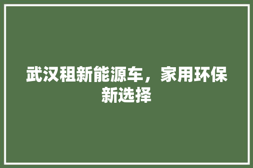 武汉租新能源车，家用环保新选择