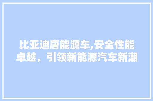 比亚迪唐能源车,安全性能卓越，引领新能源汽车新潮流