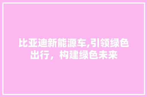 比亚迪新能源车,引领绿色出行，构建绿色未来