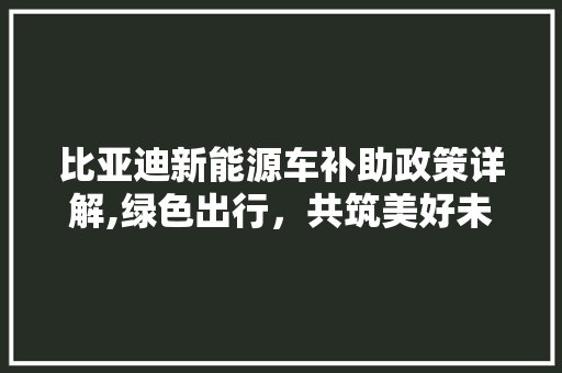 比亚迪新能源车补助政策详解,绿色出行，共筑美好未来