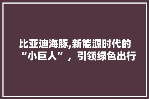 比亚迪海豚,新能源时代的“小巨人”，引领绿色出行新风尚