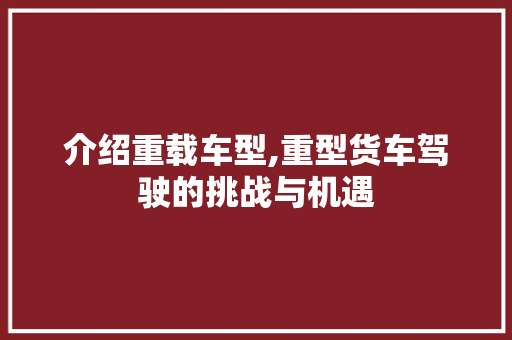 介绍重载车型,重型货车驾驶的挑战与机遇