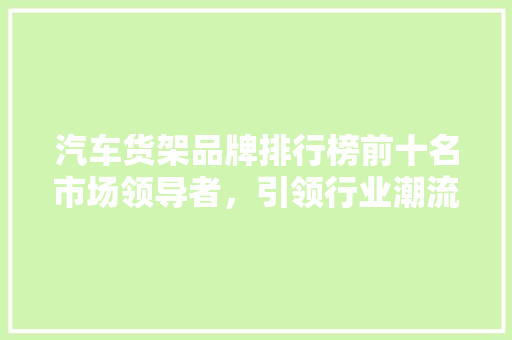 汽车货架品牌排行榜前十名市场领导者，引领行业潮流