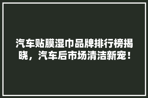 汽车贴膜湿巾品牌排行榜揭晓，汽车后市场清洁新宠！