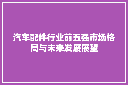 汽车配件行业前五强市场格局与未来发展展望