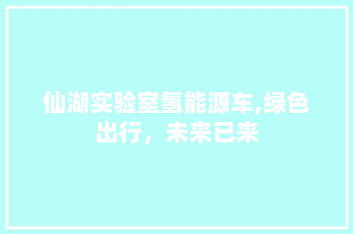 仙湖实验室氢能源车,绿色出行，未来已来