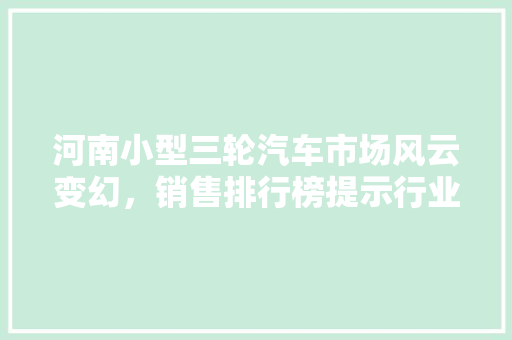 河南小型三轮汽车市场风云变幻，销售排行榜提示行业趋势