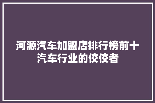 河源汽车加盟店排行榜前十汽车行业的佼佼者