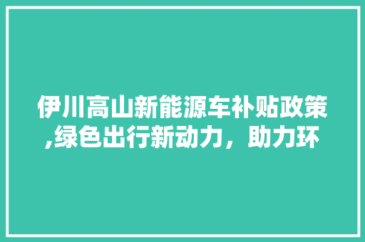 伊川高山新能源车补贴政策,绿色出行新动力，助力环保与经济发展