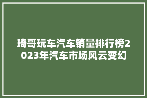琦哥玩车汽车销量排行榜2023年汽车市场风云变幻 车载导航