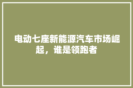 电动七座新能源汽车市场崛起，谁是领跑者